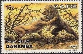 Lion (Panthera leo)