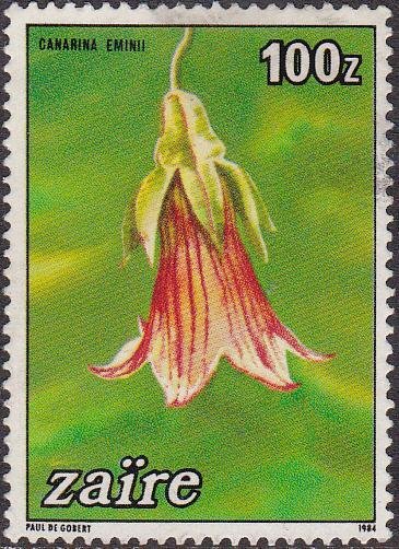 Canarina eminii