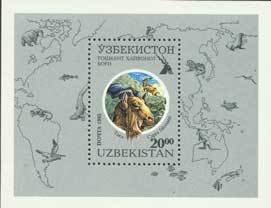 Markhor (Capra falconeri)