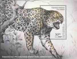 Anatolian Leopard (Panthera pardus tulliana)