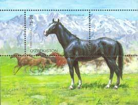 Korabajiry Horse (Equus ferus caballus)