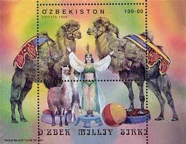 Trained Camels