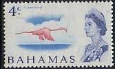 Stamp, Caribbean Flamingo (Phoenicopterus ruber), Bahamas,  , Birds