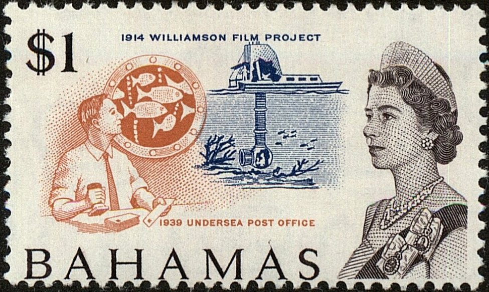 Williamson film project