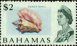 Stamp, Conch shell, Bahamas,  , Shells