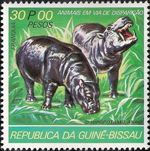 Stamp, Pygmy Hippopotamus (Choeropsis liberiensis), Guinea-Bissau,  , Mammals, Animals (Fauna), Hippopotamuses
