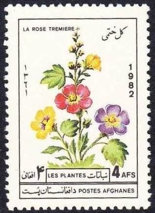 Rose of Sharon