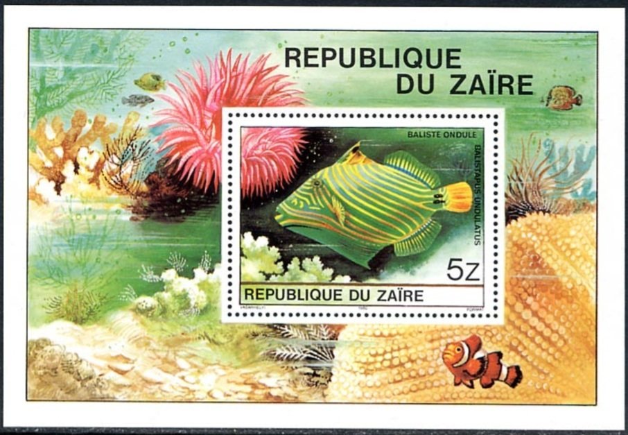 Orange-lined Triggerfish (Balistapus undulatus)