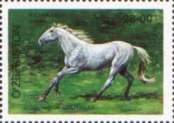 Korabajiry Horse (Equus ferus caballus)