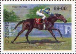 Rider on Korabajiry Horse (Equus ferus caballus)