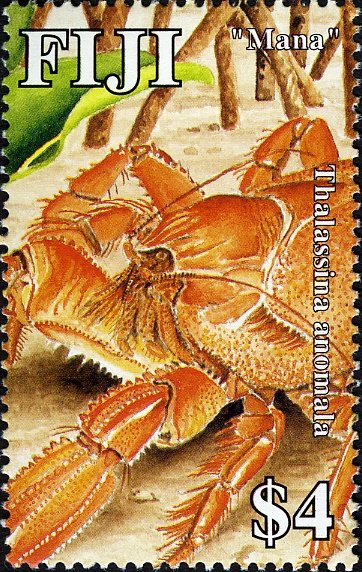 Mangrove Mud Lobster (Thalassina anomala)