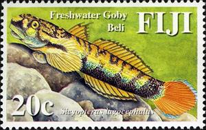 Stamp, Red-tailed Goby (Sicyopterus lagocephalus) , Fiji,  , Fishes