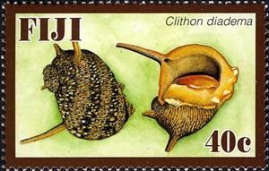 Stamp, Porcupine Snail (Clithon diadema), Fiji,  , Shells