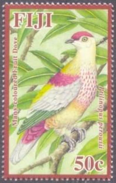 Many-colored Fruit Dove (Ptilinopus perousii)