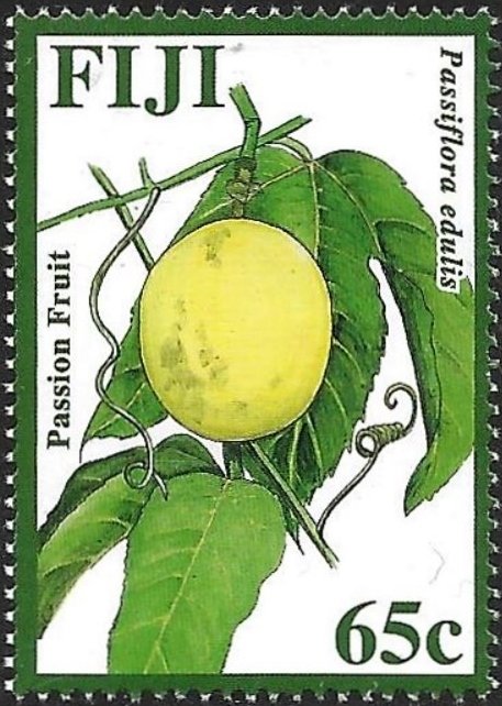 Passiflora edulis
