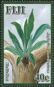 Stamp, Asplenium australasicum, Fiji,  
