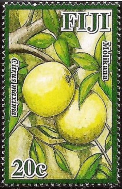 Molikana (Citrus maxima)