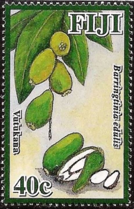 Vutukana (Barringtinia edulis)