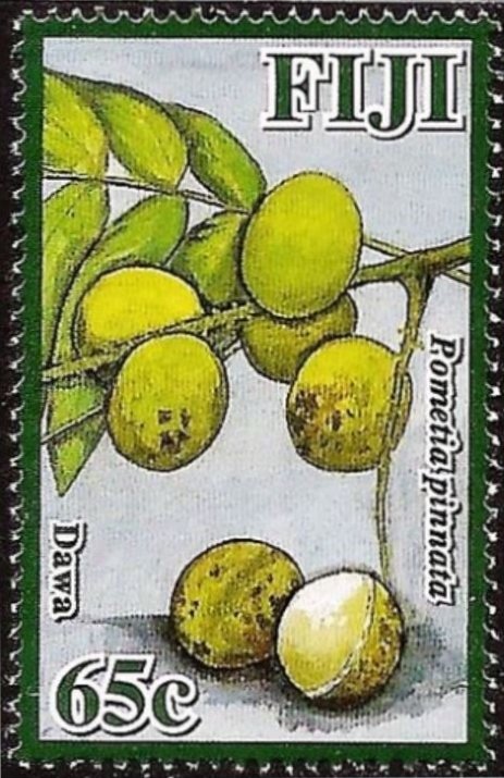 Dawa (P. ometia pinnata)