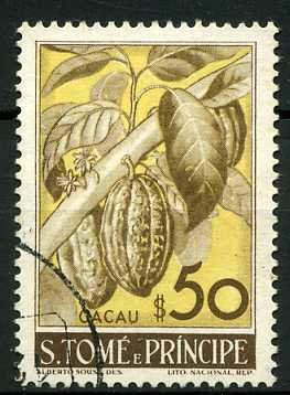 Theobroma cacao