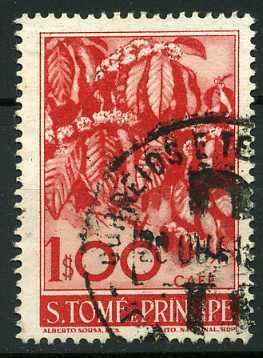 Coffea canephora
