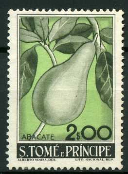 Persea americana
