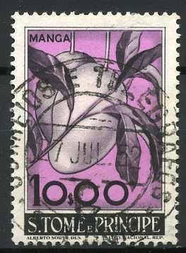 Mangifera indica