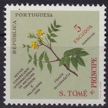 Cassia occidentalis