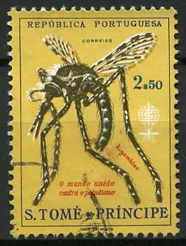 Anopheles Mosquito (Anopheles sp.)