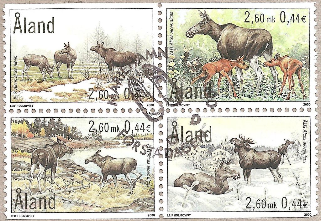 Eurasian elk (Alces alces)