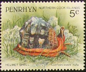 Stamp, Red Helmet (Cypraecassis rufa), Penrhyn,  , Corals and Sponges, Sea Life