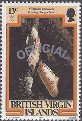 Stamp, Flamingo Tongue Snail (Cyphoma gibbosum), British Virgin Islands,  