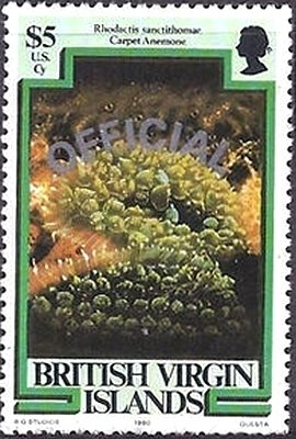 Stamp, St. Thomas Mushroom (Rhodactis sanctithomae), British Virgin Islands,  