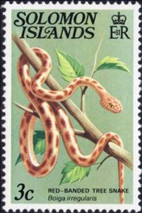 Stamp, Brown Tree Snake (Bolga irregularis), Solomon Islands,  , Reptiles, Snakes, Animals (Fauna)