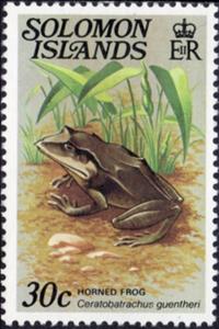 Stamp, Gunther's Triangle Frog (Ceratobatrachus guentheri), Solomon Islands,  , Reptiles, Frogs, Animals (Fauna)