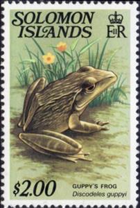 Stamp, Guppy's Frog (Discodeles guppyi), Solomon Islands,  , Reptiles, Frogs, Animals (Fauna)