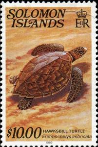 Stamp, Hawksbill Turtle (Eretmochelys imbricata), Solomon Islands,  , Reptiles, Turtles, Animals (Fauna)