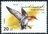 Stamp, Eurasian Wigeon (Anas penelope), Yemen,  , Birds, Ducks, Animals (Fauna)