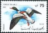 Stamp, Shelduck (Tadorna tadorna), Yemen,  , Ducks