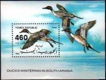 Souvenir Sheet, Northern Pintail (Anas acuta), Yemen,  , Birds, Ducks, Animals (Fauna)