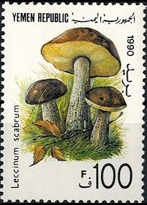 Stamp, Leccinum scabrum, Yemen,  , Mushrooms