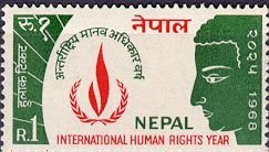 International Human Rights Year