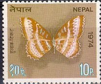Stamp, Red Lacewing (Cethosia biblis), Nepal,  , Butterflies, Animals (Fauna)