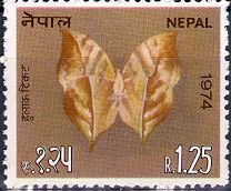Stamp, Orange Oakleaf (Kallima inachus) - Underside, Nepal,  , Butterflies, Animals (Fauna)