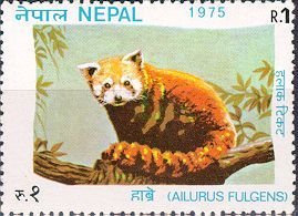 Stamp, Red Panda (Ailurus fulgens), Nepal,  , Animals (Fauna)