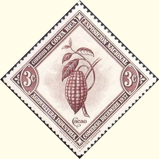 Cacao