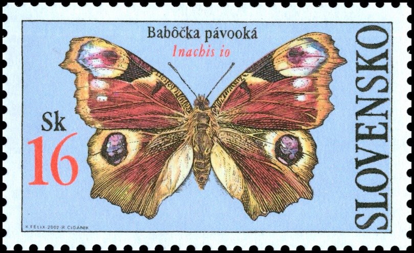 Peacock Butterfly (Inachis io)