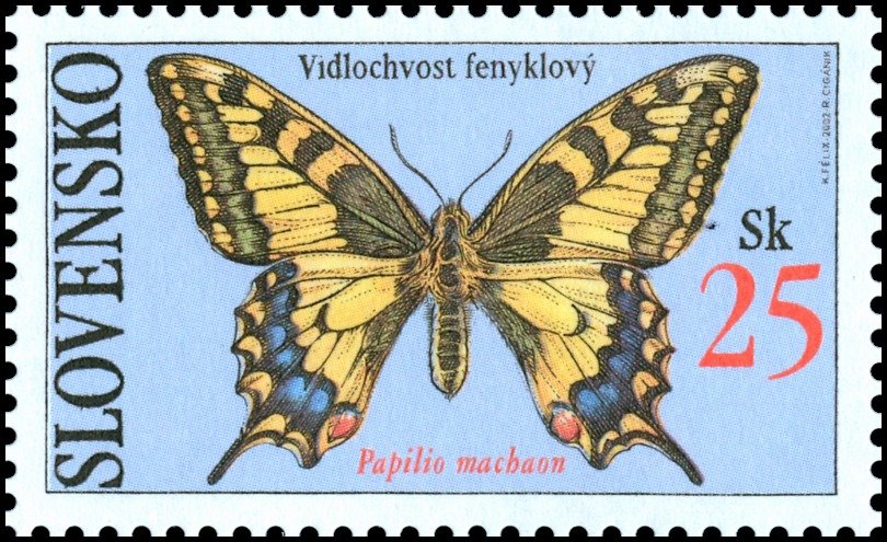 Swallowtail (Papilio machaon)
