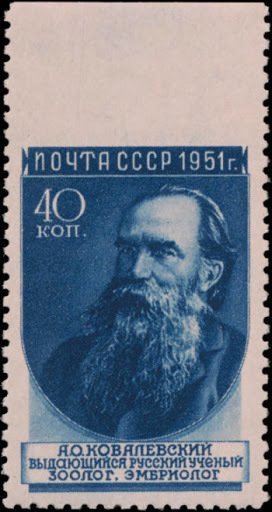 Alexander O. Kovalevsky (1840-1901), Russian biologist