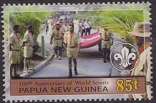 Scouts carrying flag